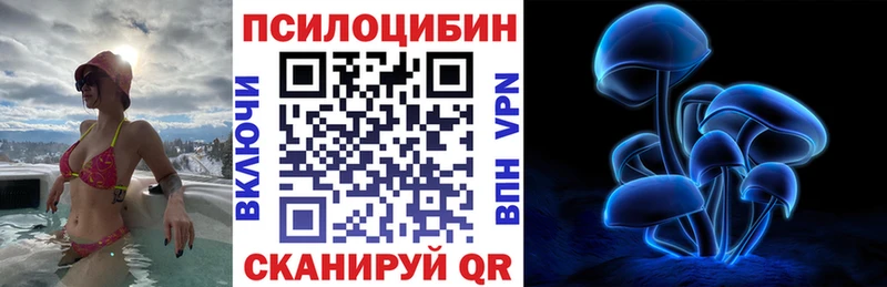 МЕГА ТОР  Волгореченск  Псилоцибиновые грибы GOLDEN TEACHER 